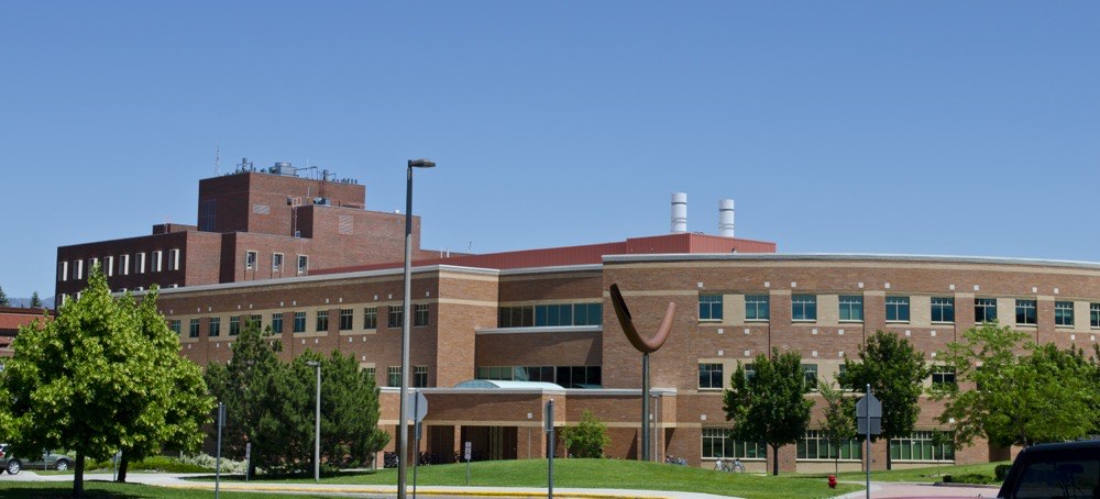 JEE Main + Advanced program